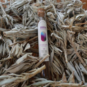 Nhang Xô thơm (White Sage)
